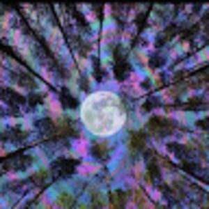 Meet your Posher, Tomi